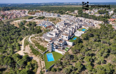 Villas in San Miguel de Salinas